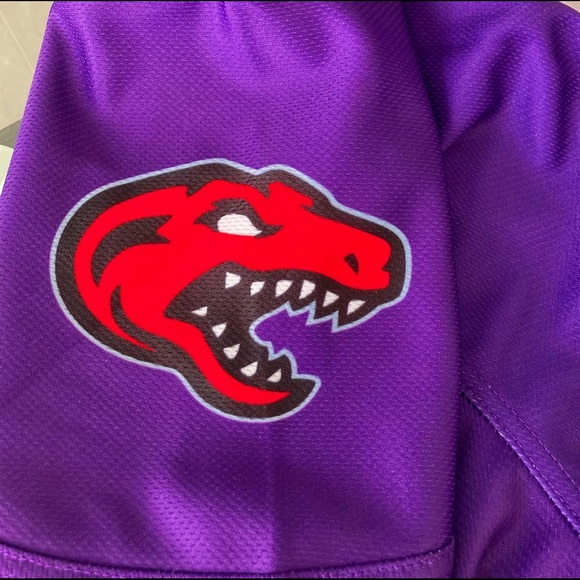 Custom Toronto Raptors X Maple Leafs Hockey Jersey (Mats Sundin) and Blank - Picture 2 of 4